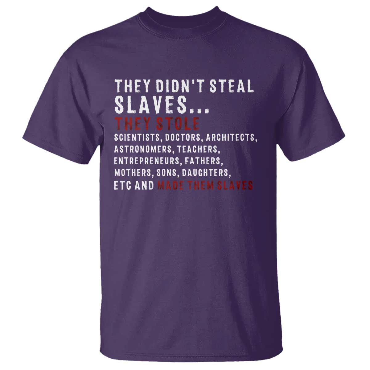 Black History T Shirt They Didn't Steal Slaves They Stolen And Made Them Slaves TS09