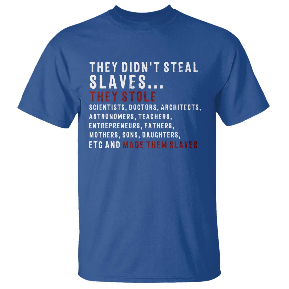 Black History T Shirt They Didn't Steal Slaves They Stolen And Made Them Slaves TS09