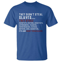 Black History T Shirt They Didn't Steal Slaves They Stolen And Made Them Slaves TS09