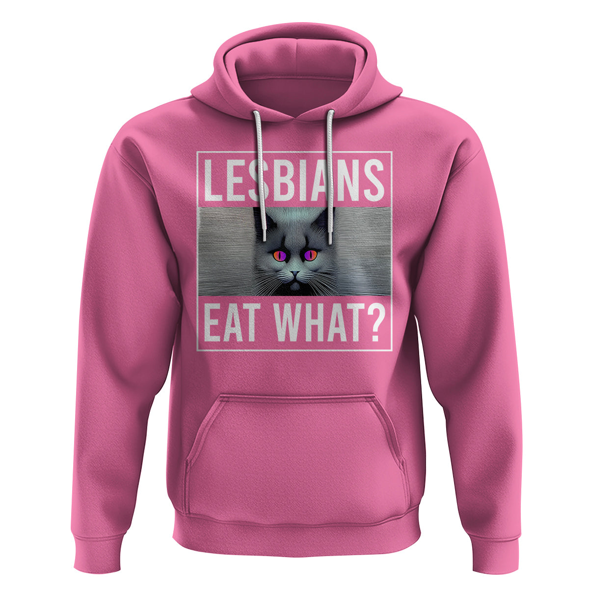 Lesbians Eat What? Funny Scared Cat LGBT Pride Hoodie - Wonder Print Shop