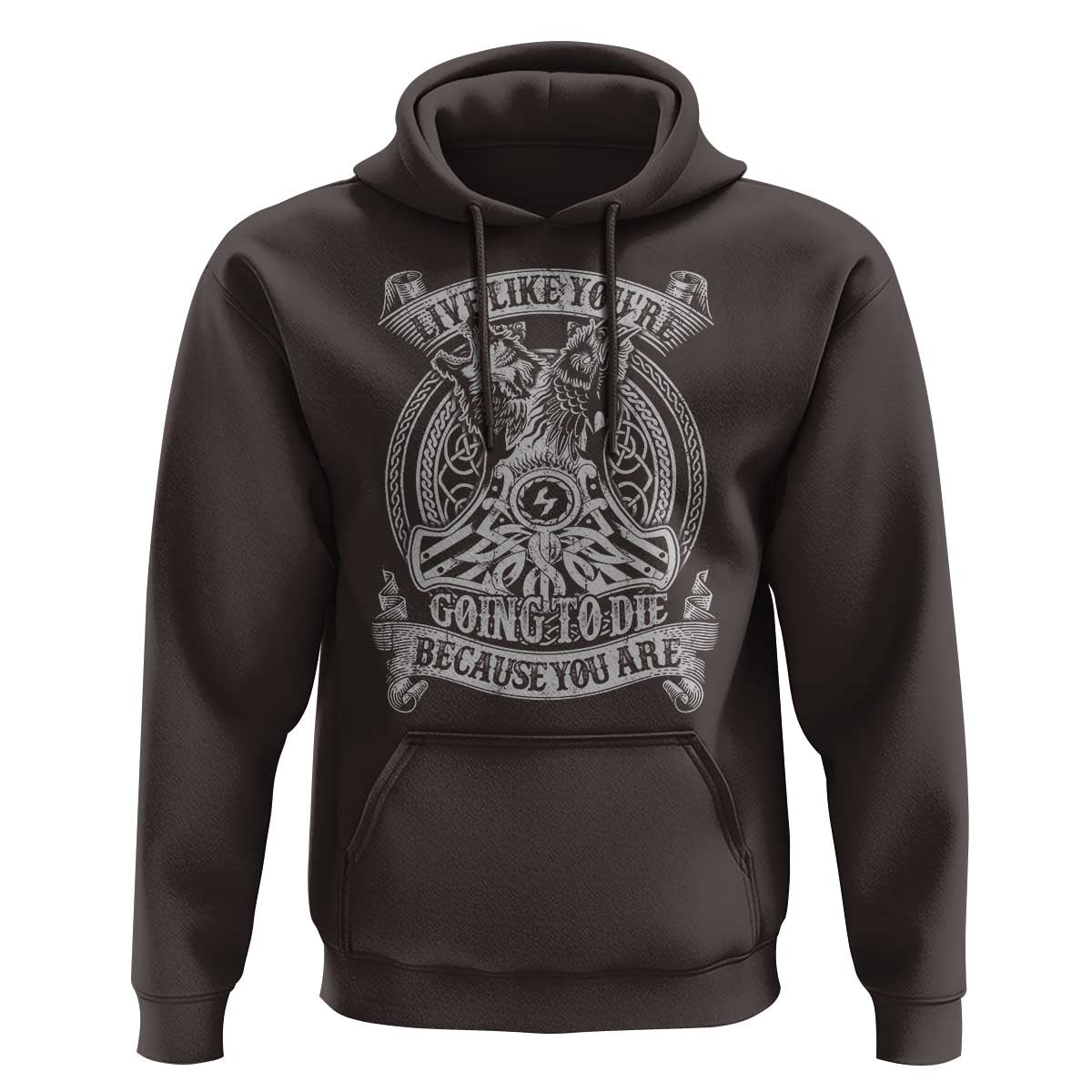 Viking Hoodie Live Like You're Going To Die Because You Are