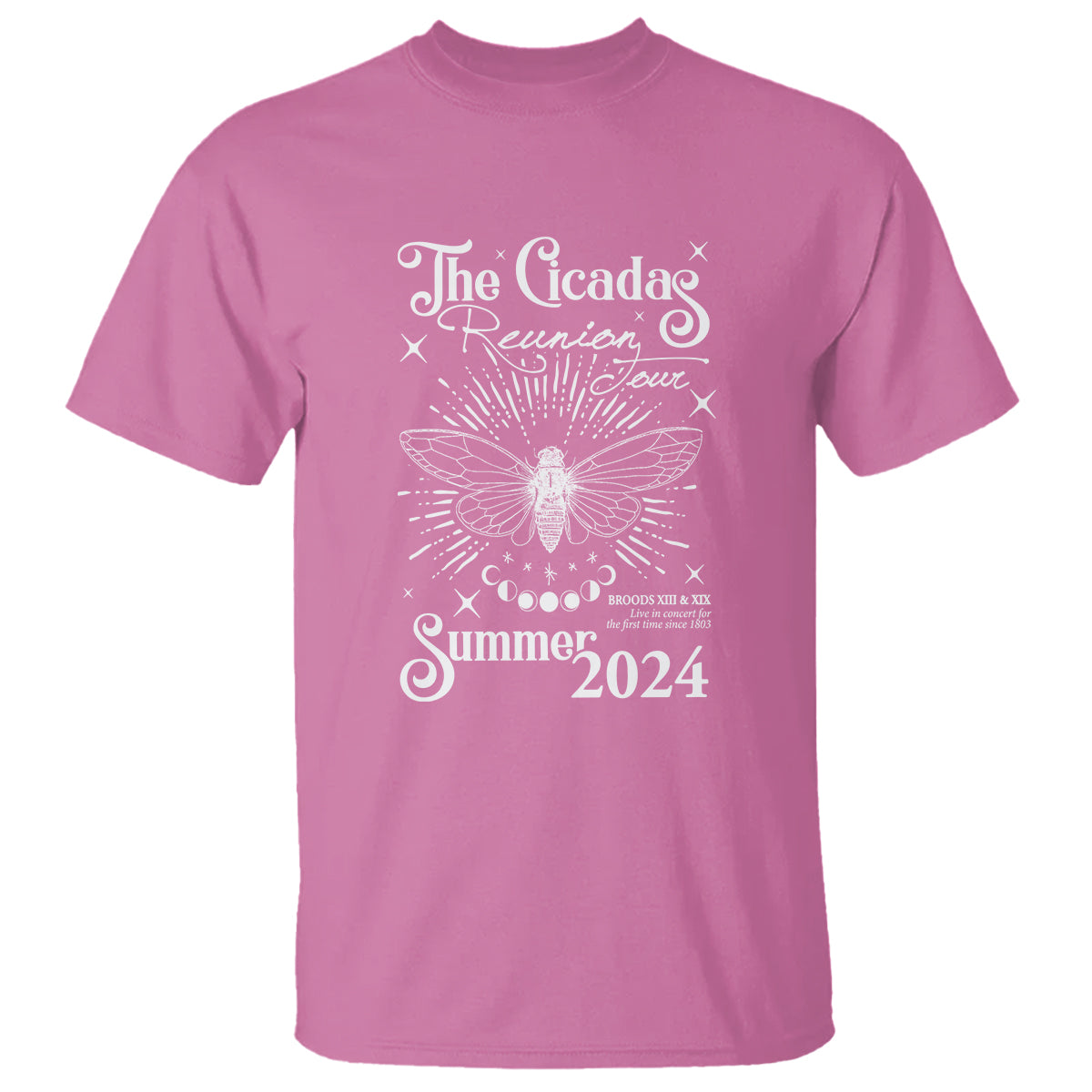 The Cicada Reunion U.S Tour 2024 T Shirt Broods XIII & XIX Cicadas Concert Fest - Wonder Print Shop