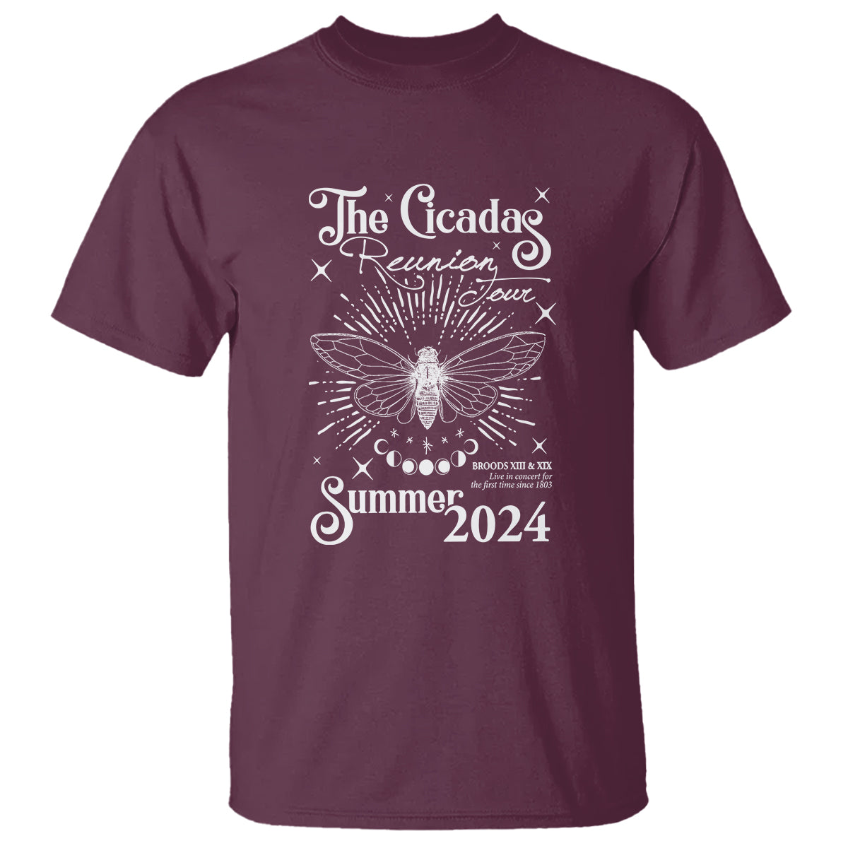 The Cicada Reunion U.S Tour 2024 T Shirt Broods XIII & XIX Cicadas Concert Fest - Wonder Print Shop