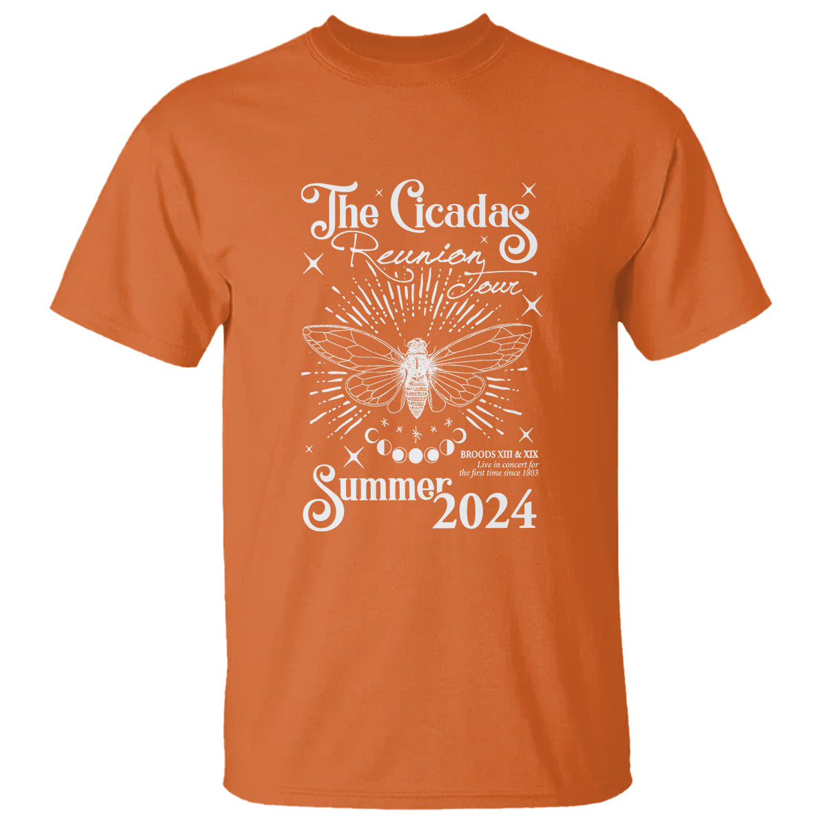 The Cicada Reunion U.S Tour 2024 T Shirt Broods XIII & XIX Cicadas Concert Fest - Wonder Print Shop