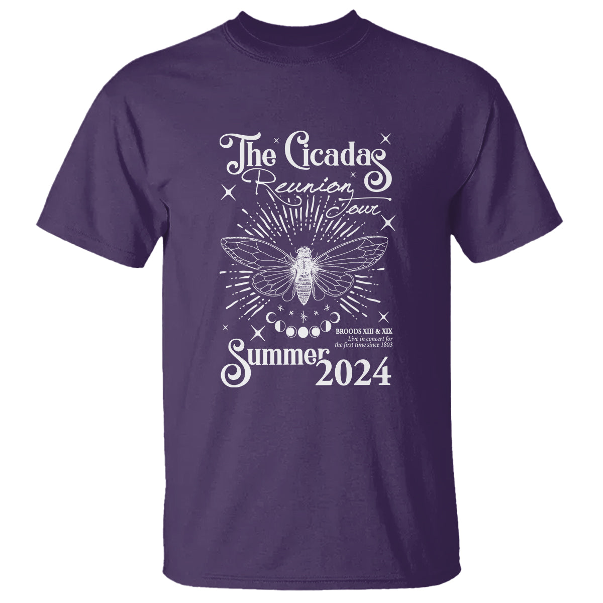 The Cicada Reunion U.S Tour 2024 T Shirt Broods XIII & XIX Cicadas Concert Fest - Wonder Print Shop