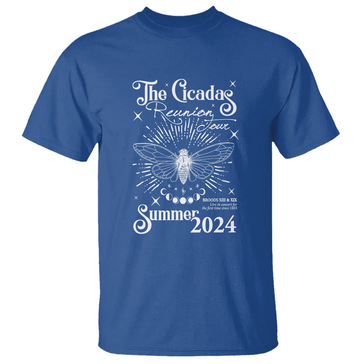 The Cicada Reunion U.S Tour 2024 T Shirt Broods XIII & XIX Cicadas Concert Fest - Wonder Print Shop