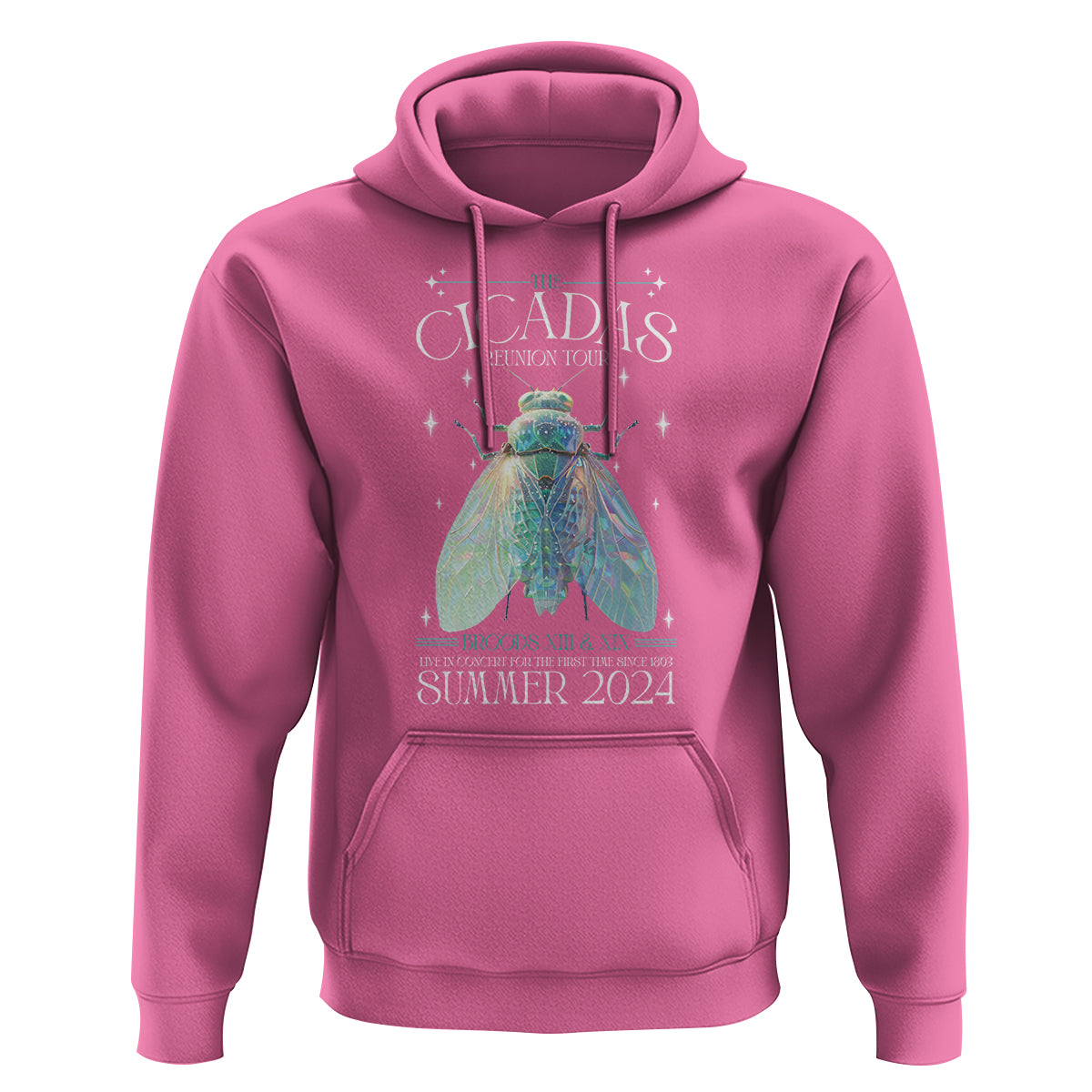 The Cicada Reunion U.S Tour 2024 Hoodie Broods XIII & XIX Cicadas Concert Fest - Wonder Print Shop