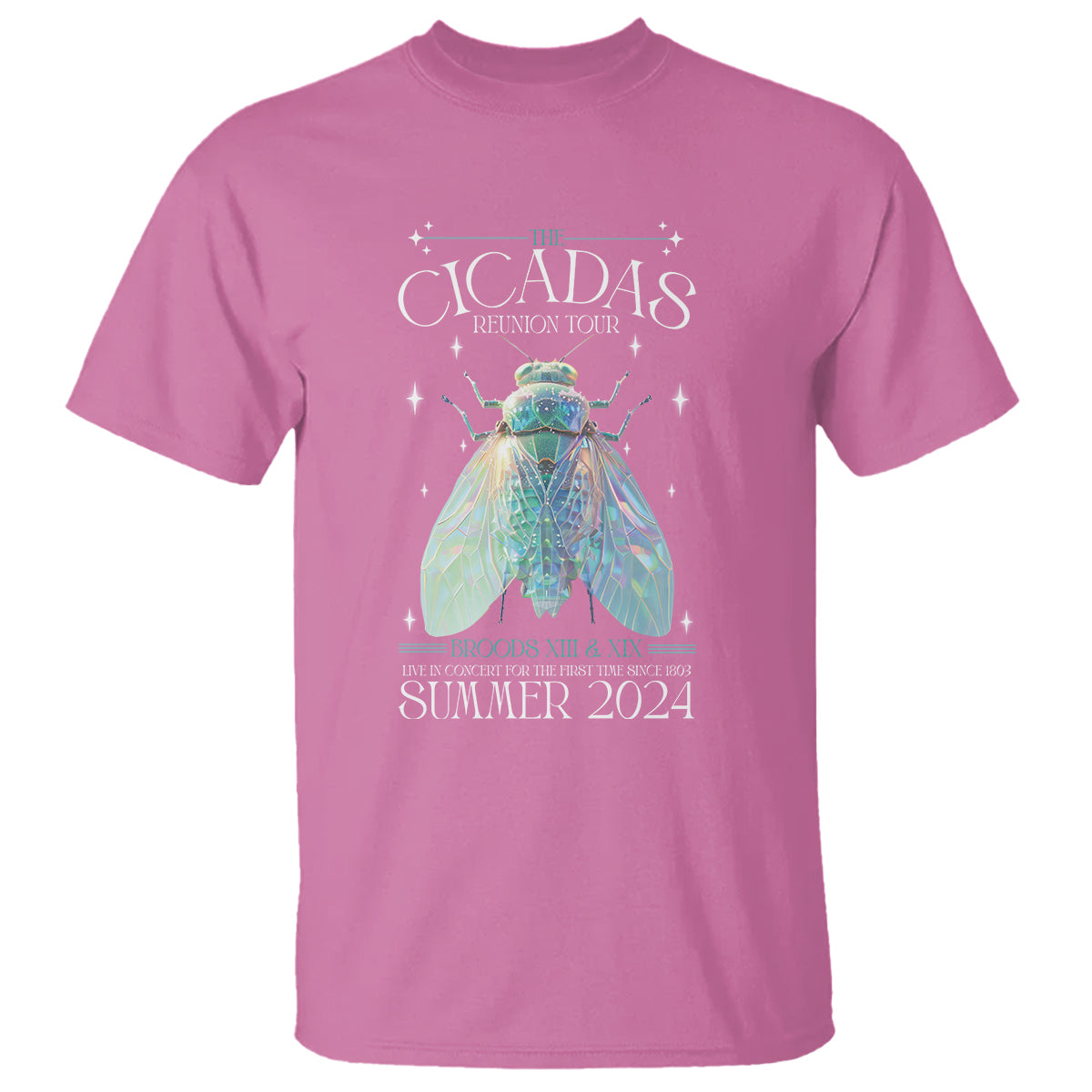 The Cicada Reunion U.S Tour 2024 T Shirt Broods XIII & XIX Cicadas Concert Fest - Wonder Print Shop