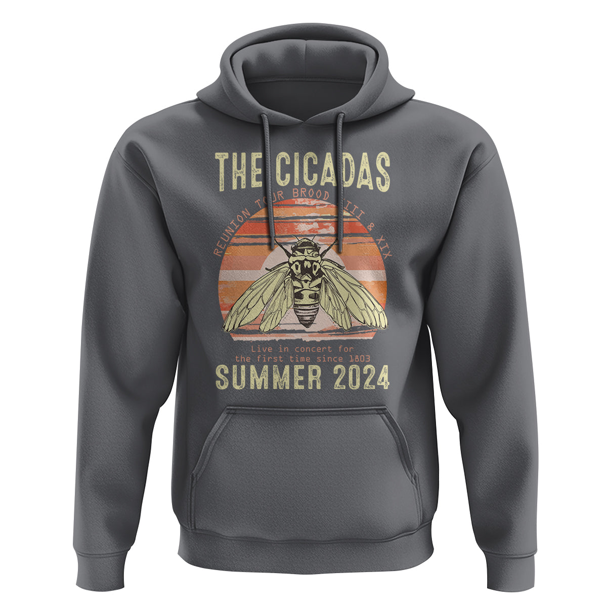 The Cicada Reunion U.S Tour 2024 Hoodie Broods XIII & XIX Summer Cicadas Concert Fest - Wonder Print Shop