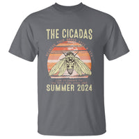 The Cicada Reunion U.S Tour 2024 T Shirt Broods XIII & XIX Summer Cicadas Concert Fest - Wonder Print Shop