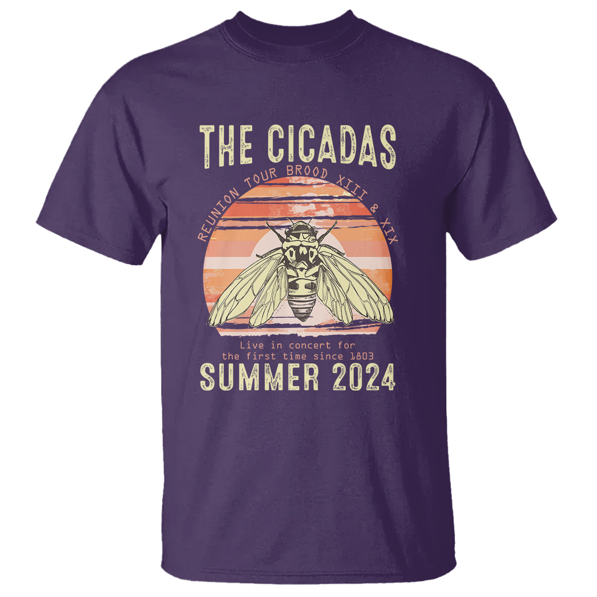 The Cicada Reunion U.S Tour 2024 T Shirt Broods XIII & XIX Summer Cicadas Concert Fest - Wonder Print Shop