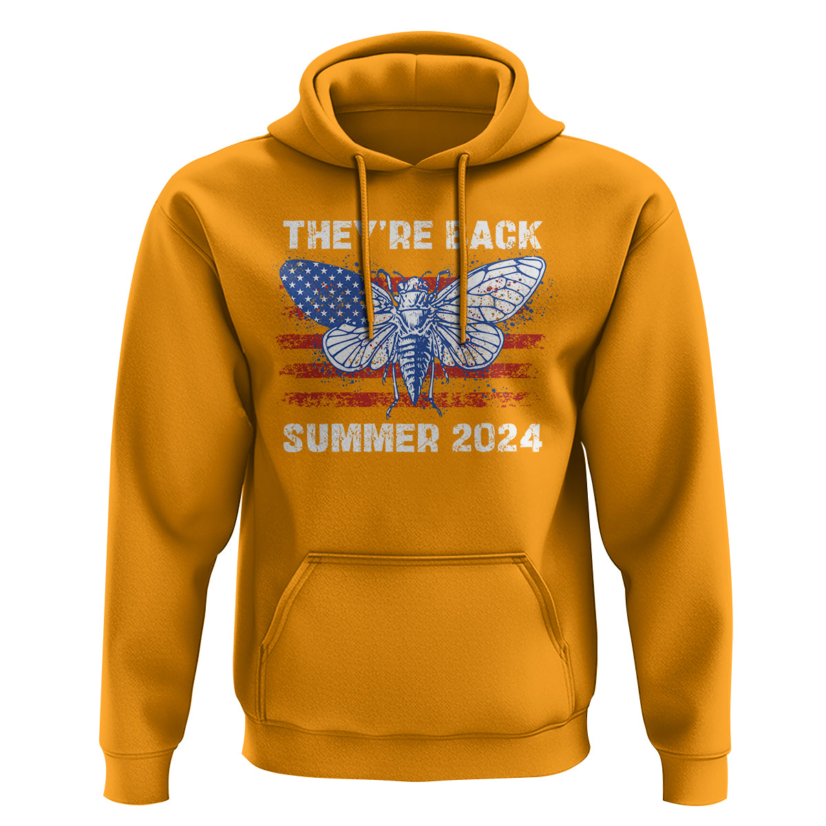 Cicada Invasion U.S Tour They're Back Summer 2024 Hoodie - Wonder Print Shop