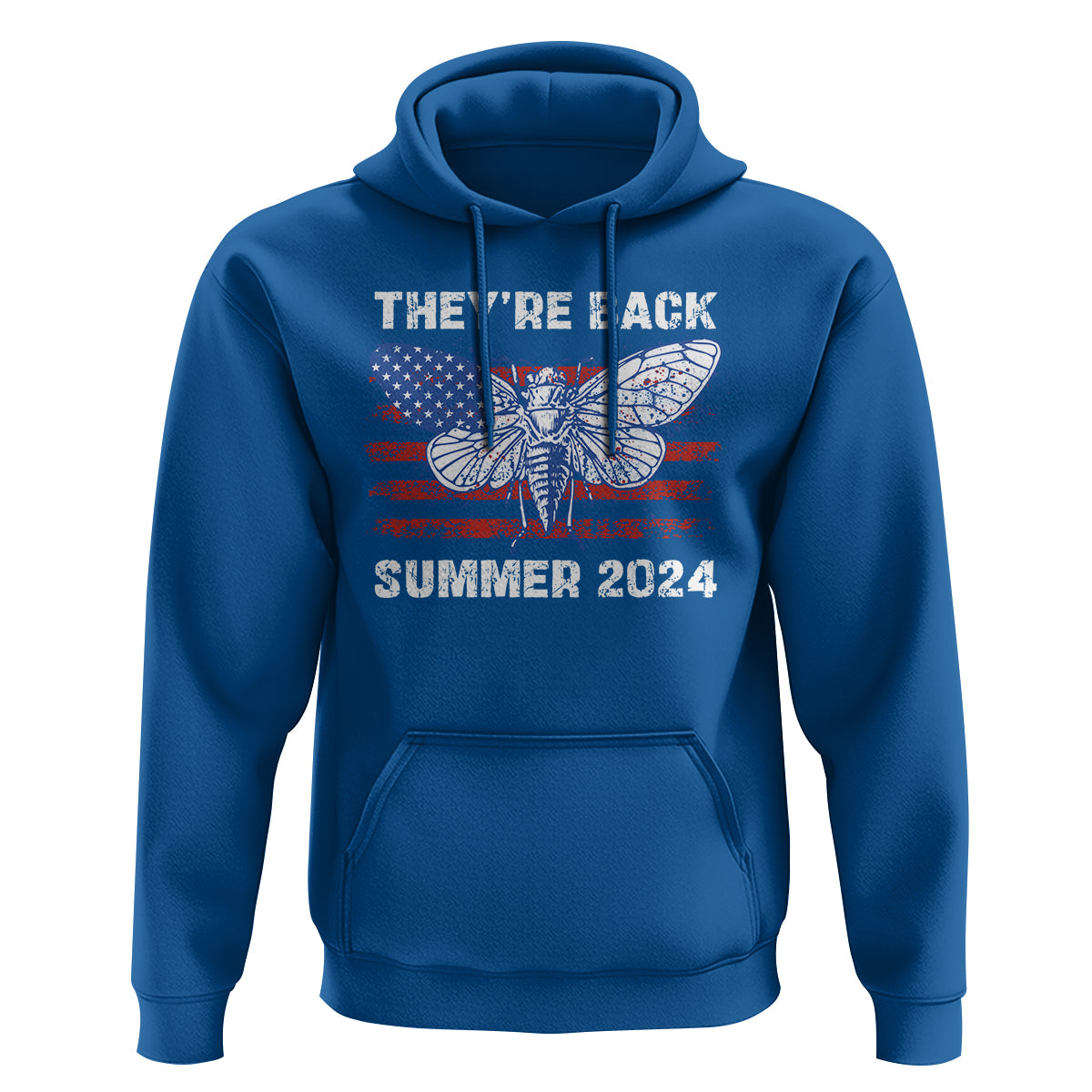 Cicada Invasion U.S Tour They're Back Summer 2024 Hoodie - Wonder Print Shop