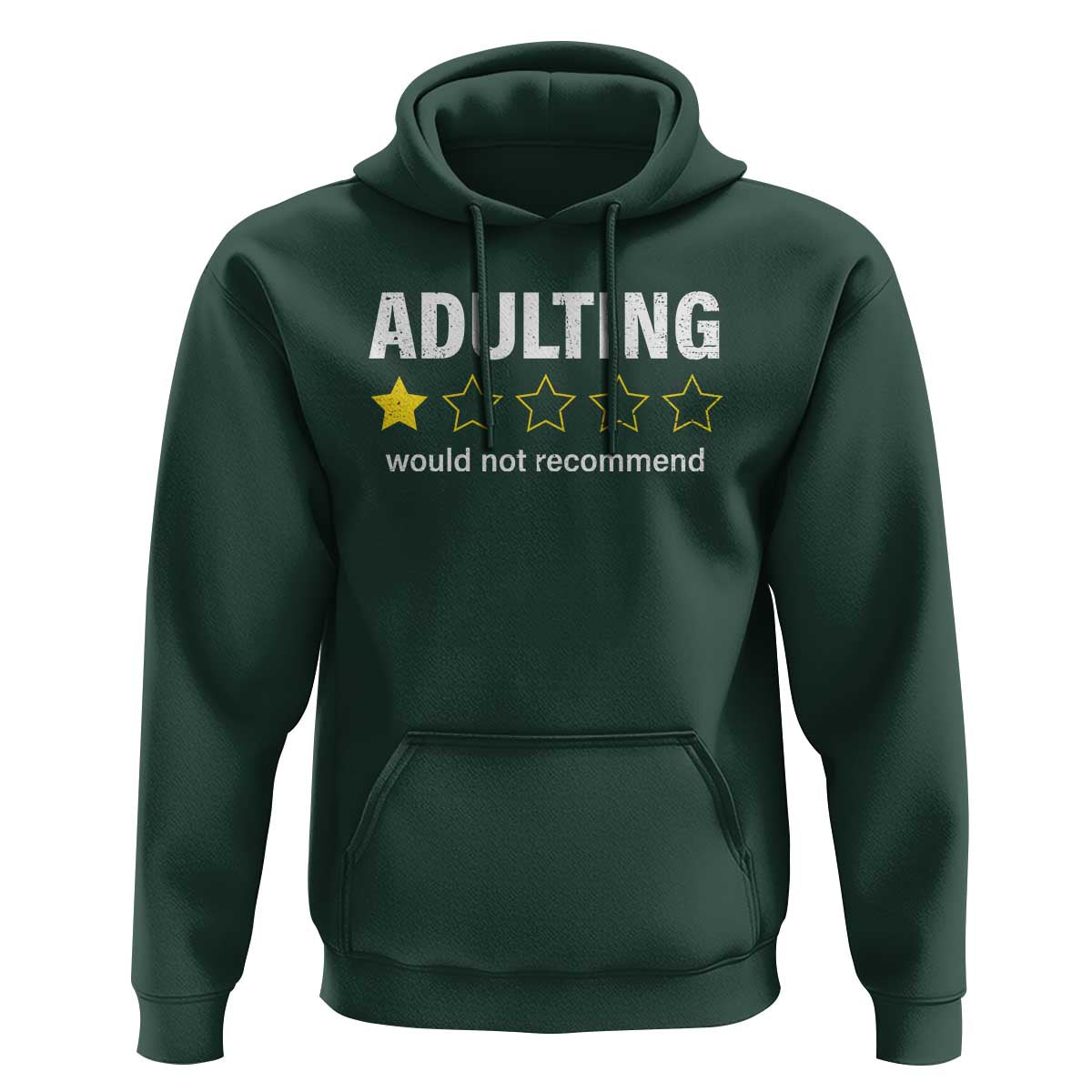 Funny Adulting Would Not Recommend Hoodie