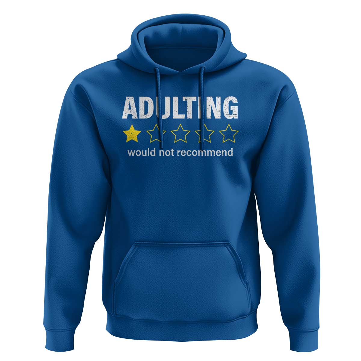 Funny Adulting Would Not Recommend Hoodie