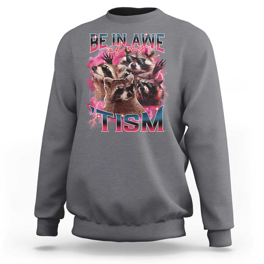 Funny Meme Autistic Raccoon Sweatshirt Be In Awe Of My 'Tism