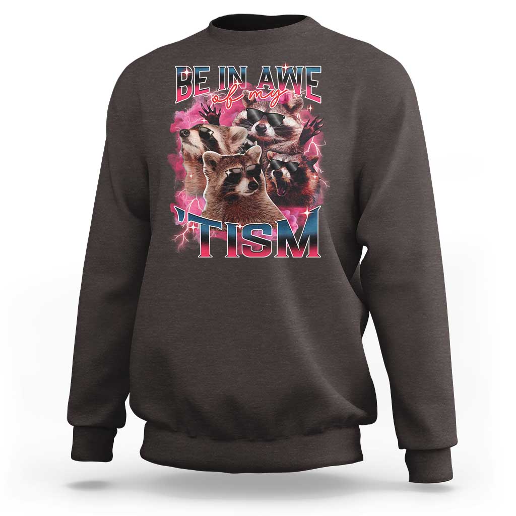 Funny Meme Autistic Raccoon Sweatshirt Be In Awe Of My 'Tism