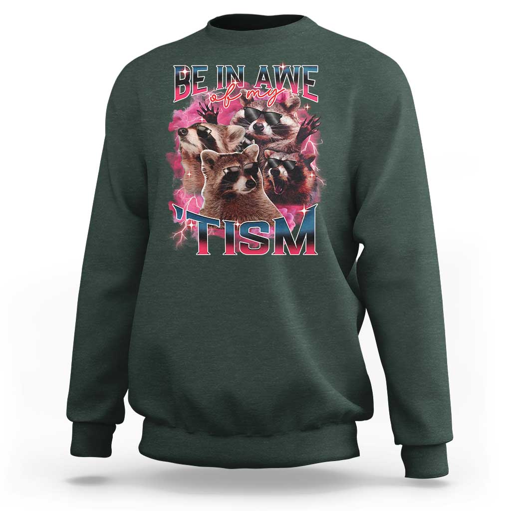 Funny Meme Autistic Raccoon Sweatshirt Be In Awe Of My 'Tism
