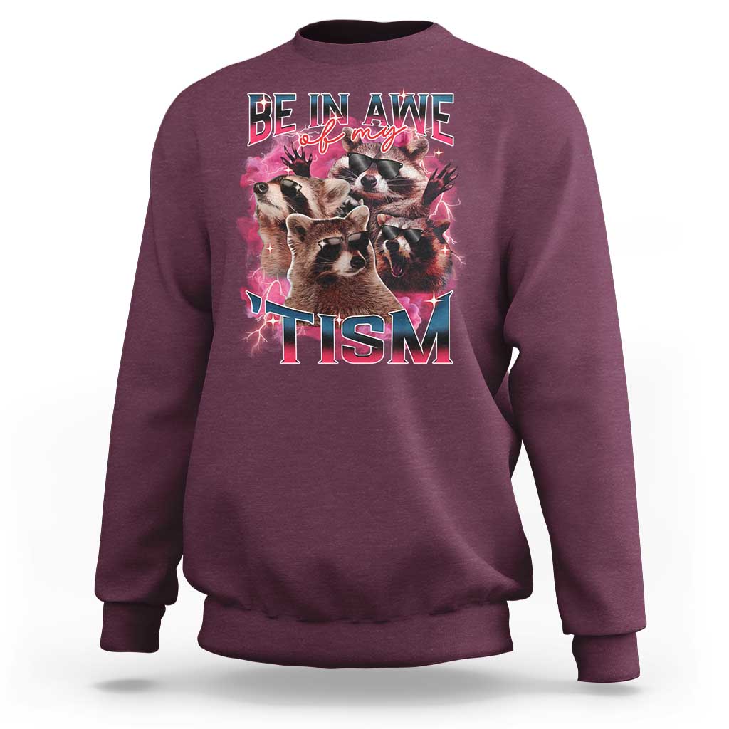 Funny Meme Autistic Raccoon Sweatshirt Be In Awe Of My 'Tism