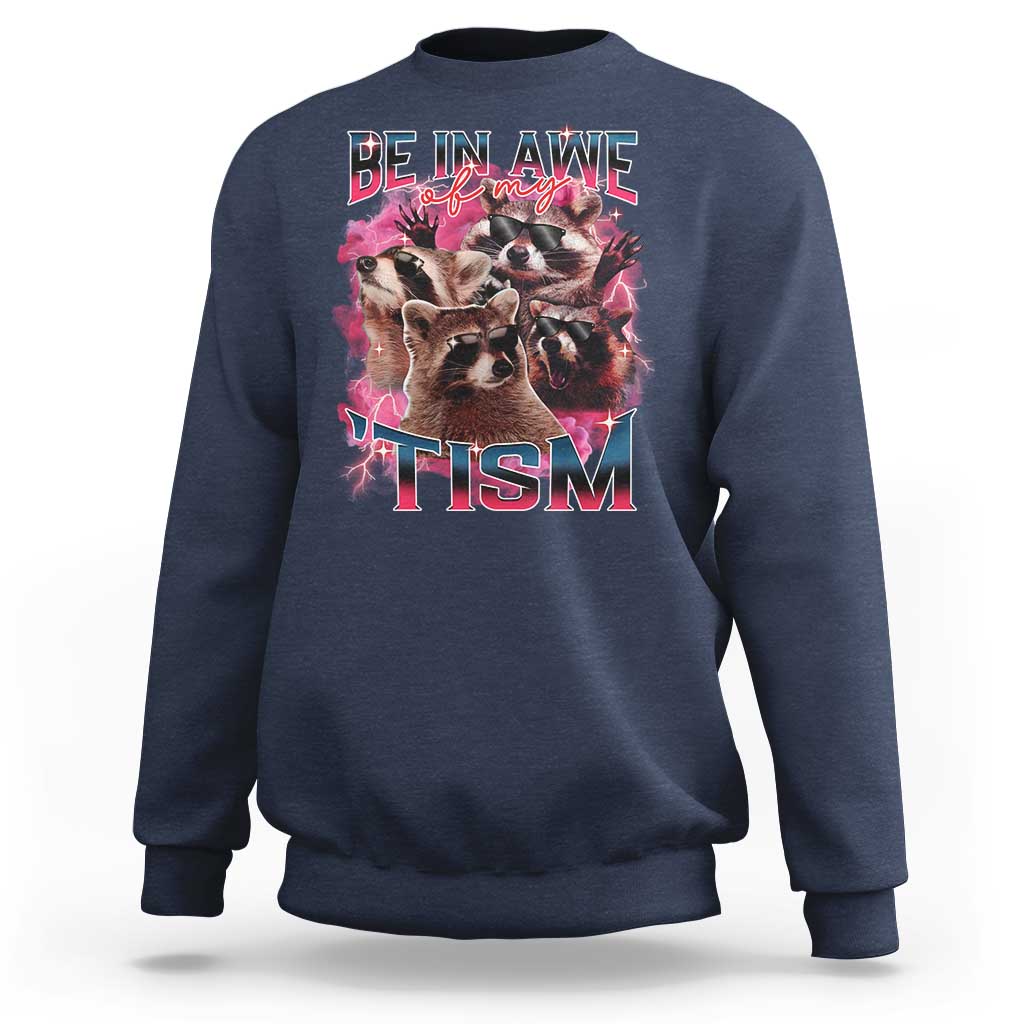 Funny Meme Autistic Raccoon Sweatshirt Be In Awe Of My 'Tism