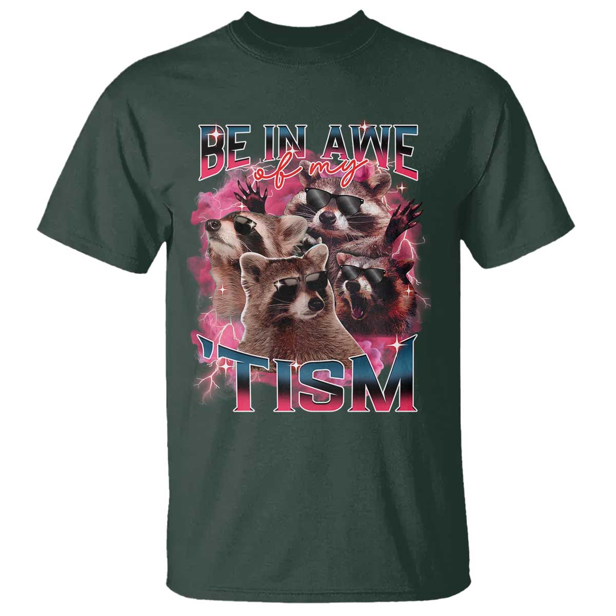 Funny Meme Autistic Raccoon T Shirt Be In Awe Of My 'Tism