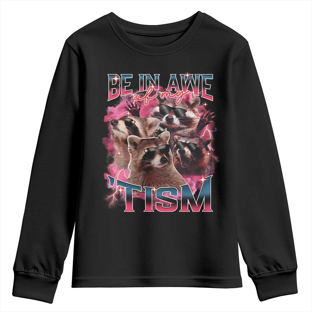 Funny Meme Autistic Raccoon Youth Sweatshirt Be In Awe Of My 'Tism