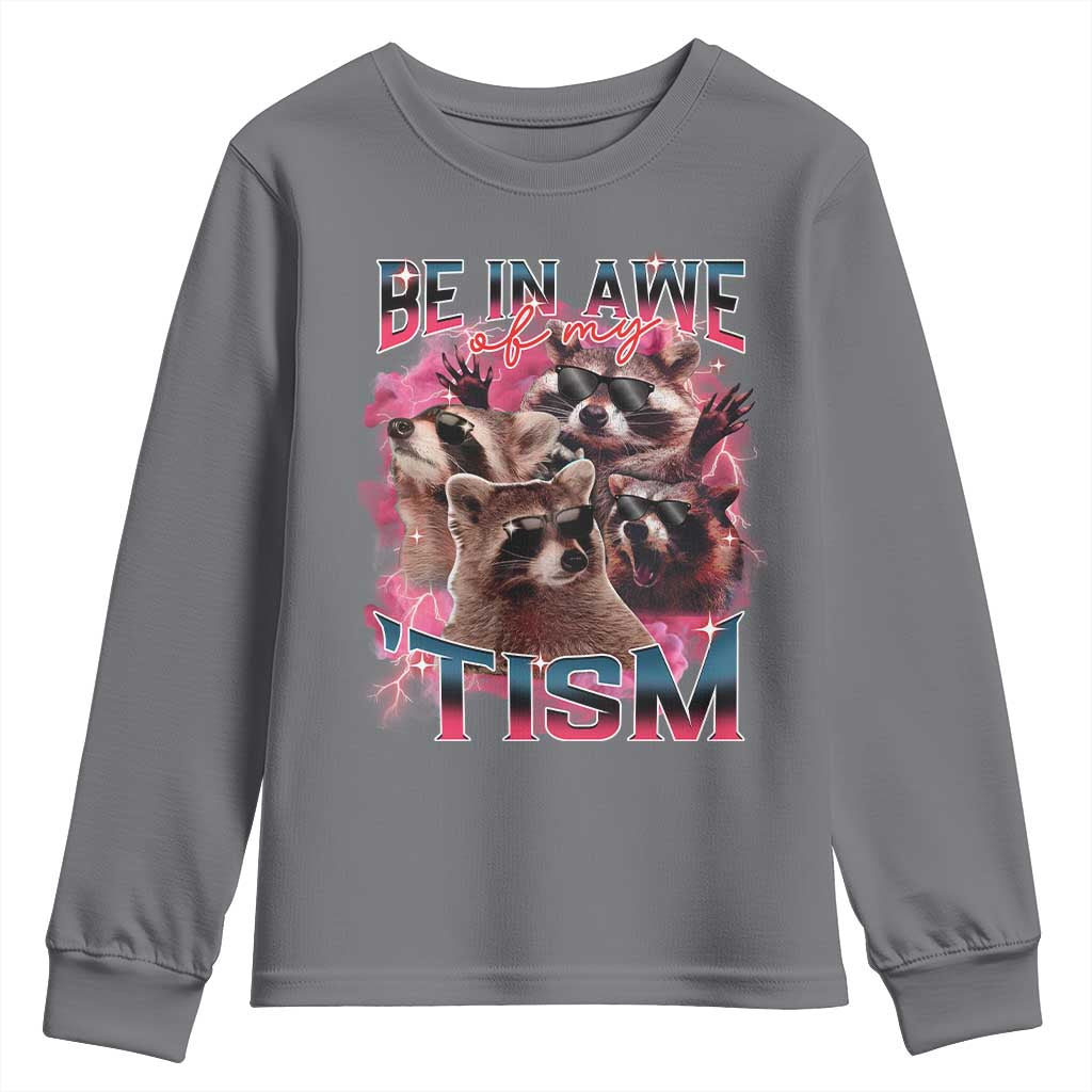 Funny Meme Autistic Raccoon Youth Sweatshirt Be In Awe Of My 'Tism