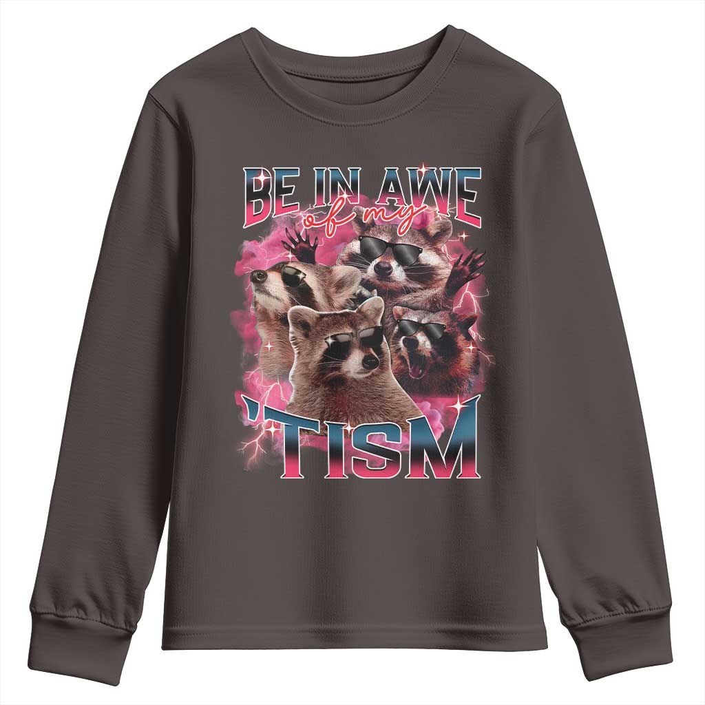Funny Meme Autistic Raccoon Youth Sweatshirt Be In Awe Of My 'Tism