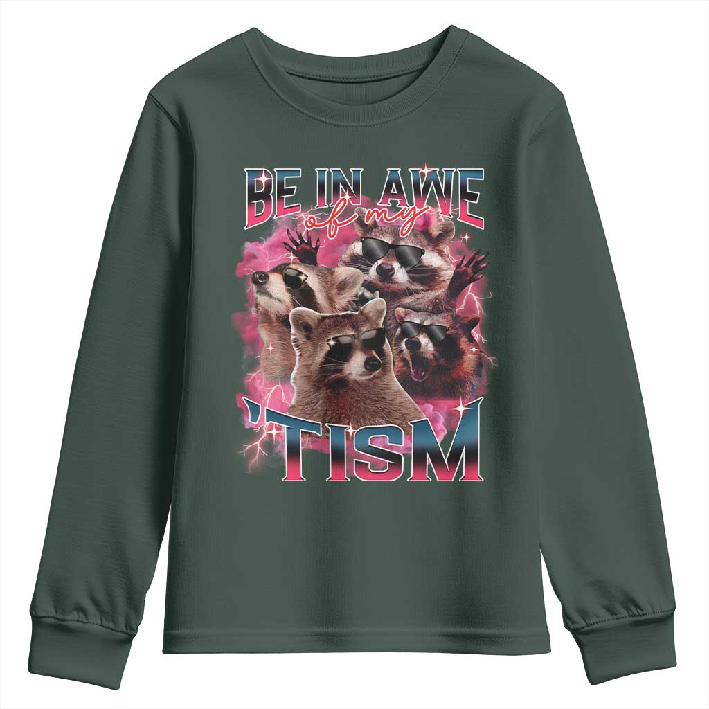 Funny Meme Autistic Raccoon Youth Sweatshirt Be In Awe Of My 'Tism