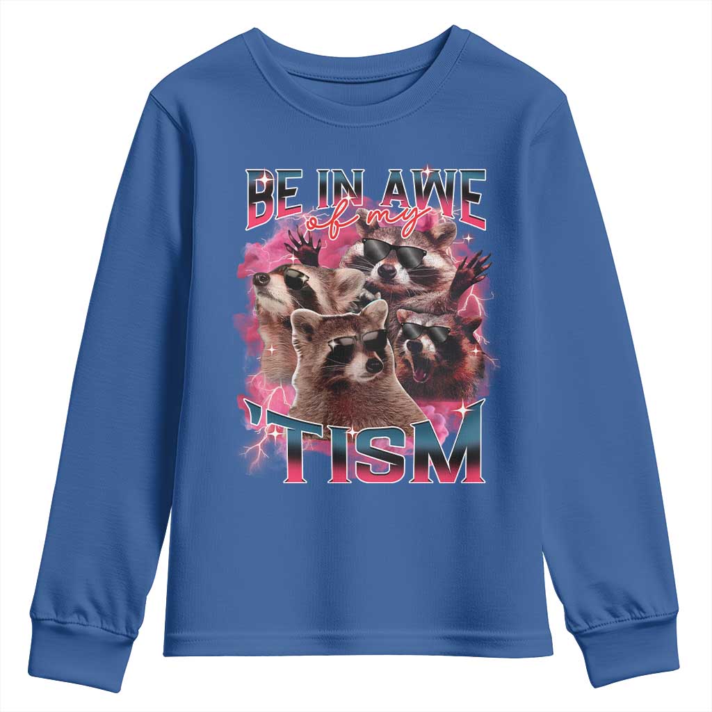 Funny Meme Autistic Raccoon Youth Sweatshirt Be In Awe Of My 'Tism