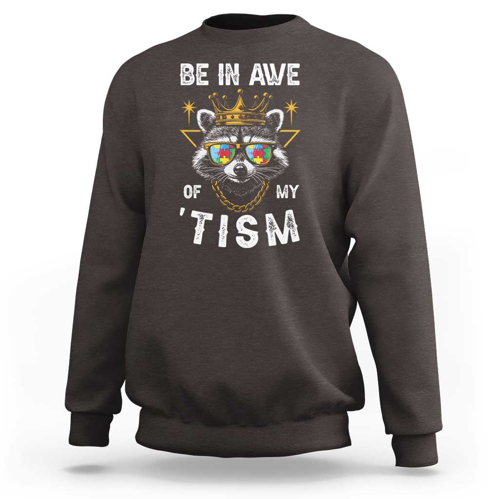 Funny Autistic Raccoon Sweatshirt Be In Awe Of My 'Tism