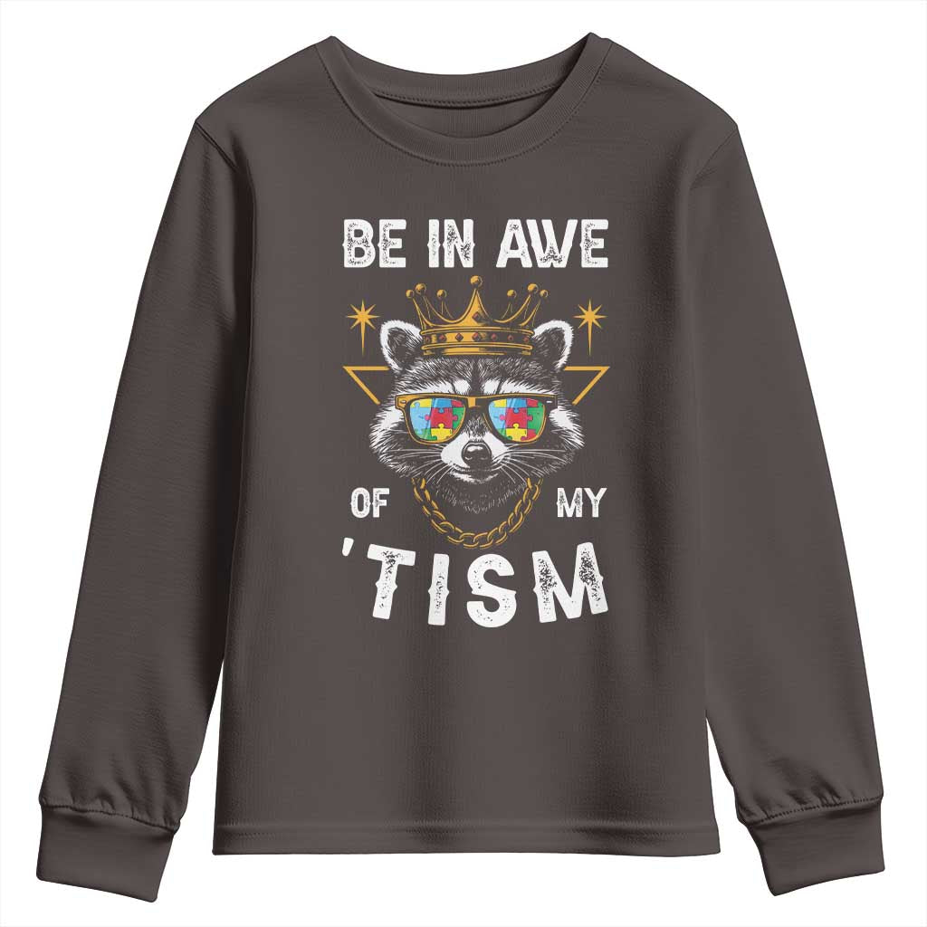 Funny Autistic Raccoon Youth Sweatshirt Be In Awe Of My 'Tism