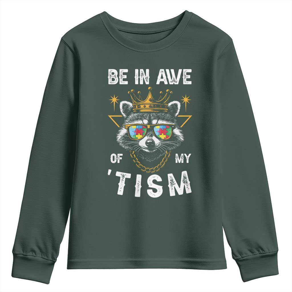 Funny Autistic Raccoon Youth Sweatshirt Be In Awe Of My 'Tism