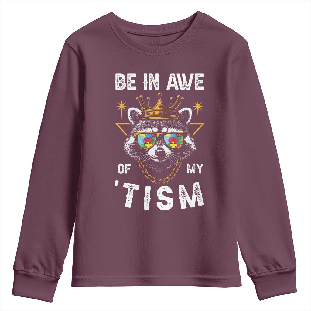 Funny Autistic Raccoon Youth Sweatshirt Be In Awe Of My 'Tism