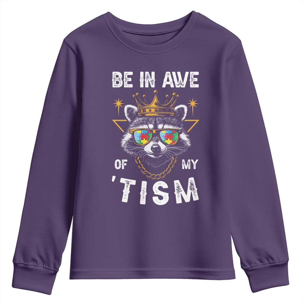 Funny Autistic Raccoon Youth Sweatshirt Be In Awe Of My 'Tism