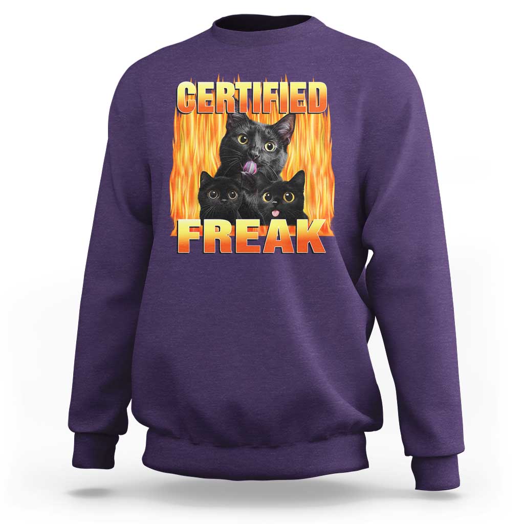 Funny Cat Meme Sweatshirt Certified Freak