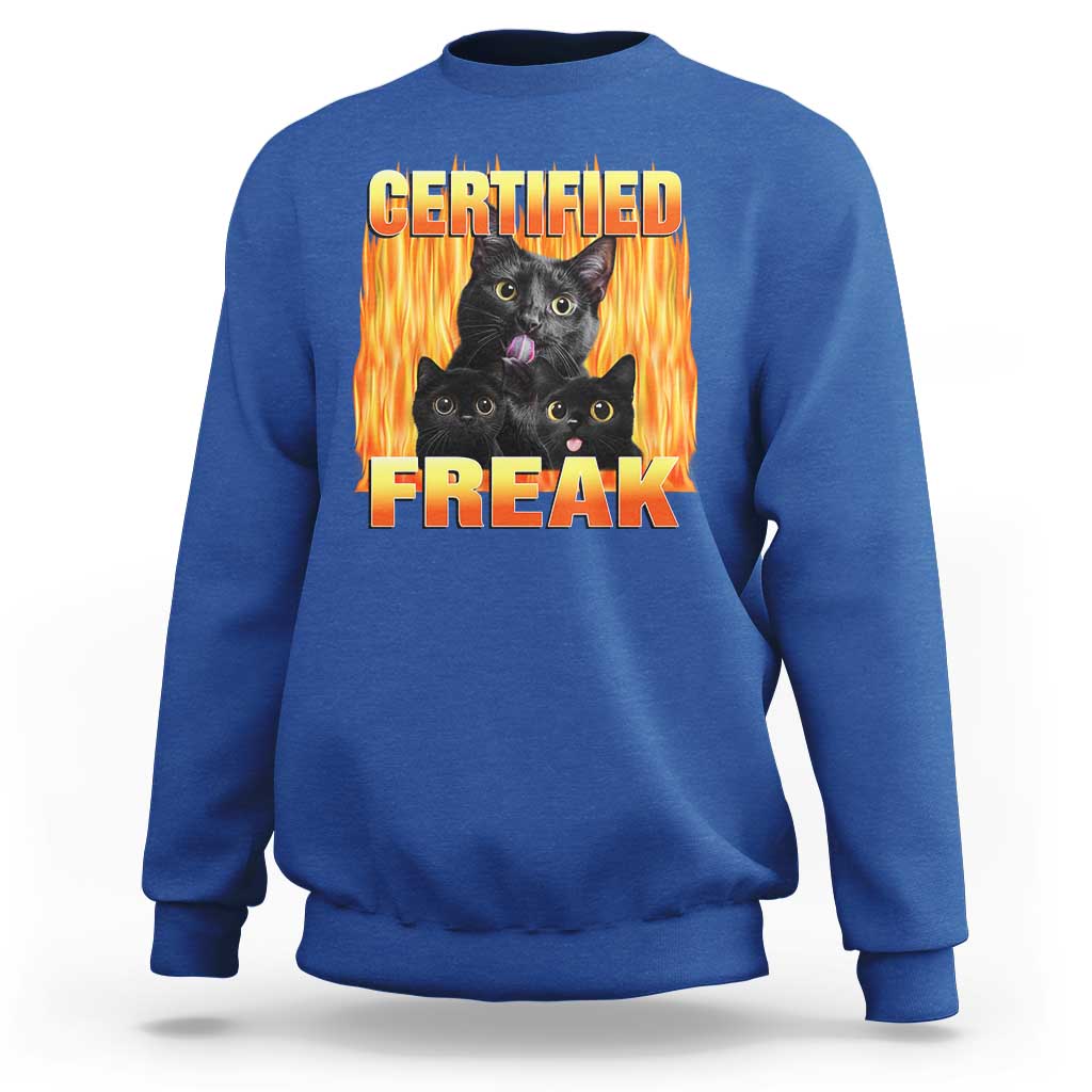 Funny Cat Meme Sweatshirt Certified Freak