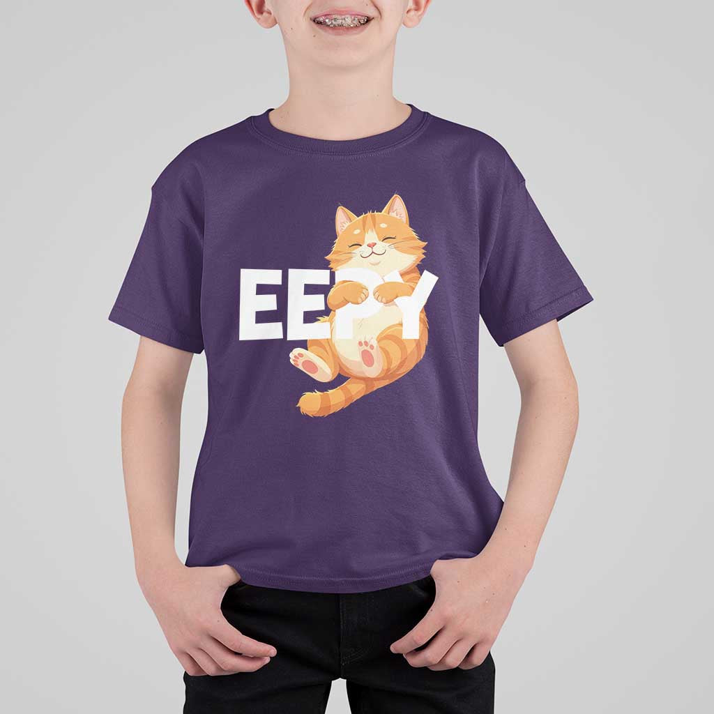 Funny Cat Meme T Shirt For Kid Eepy Cat Silly Sleepy Cat