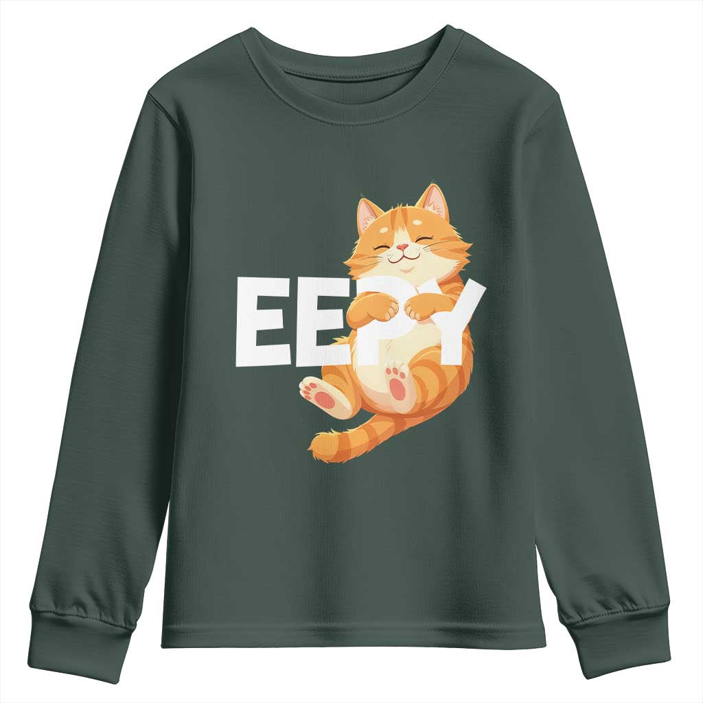 Funny Cat Meme Youth Sweatshirt Eepy Cat Silly Sleepy Cat