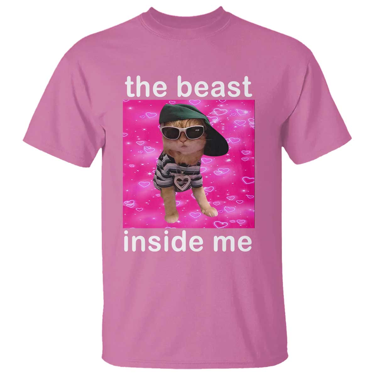 Funny Cat Meme T Shirt The Beast Inside Me