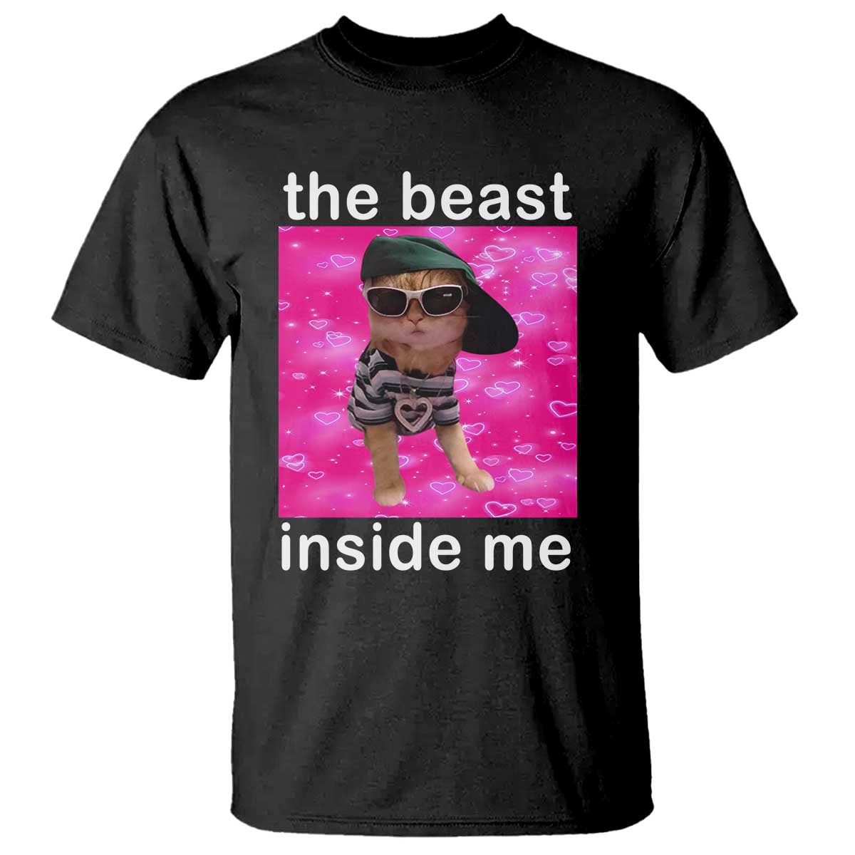 Funny Cat Meme T Shirt The Beast Inside Me