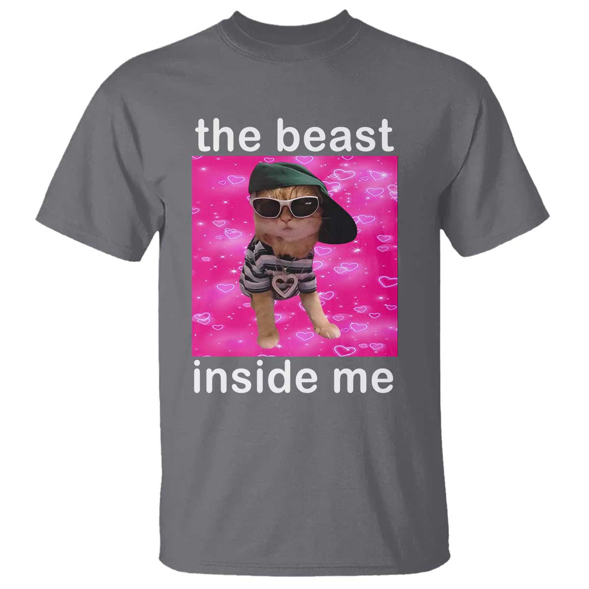 Funny Cat Meme T Shirt The Beast Inside Me