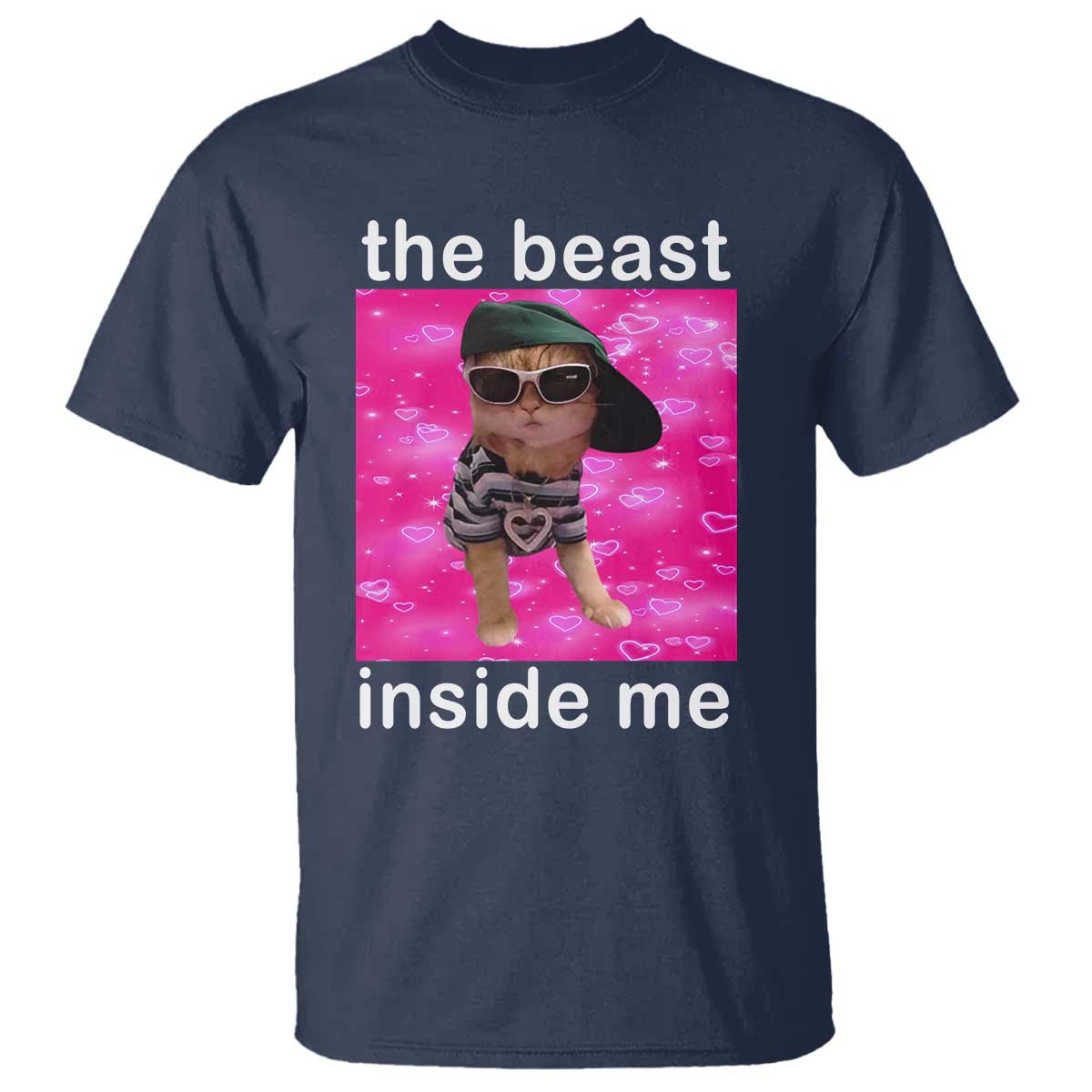 Funny Cat Meme T Shirt The Beast Inside Me