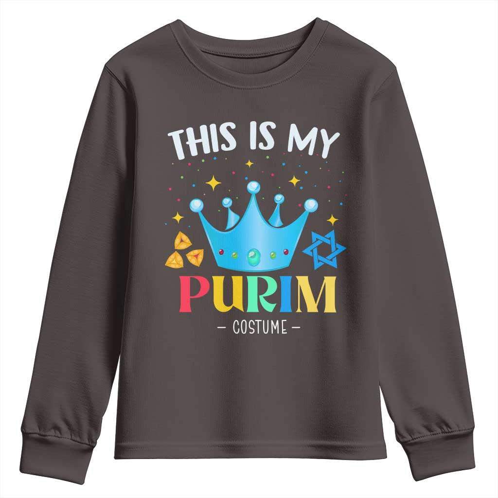 Funny Jewish This Is My Purim Costume Youth Sweatshirt