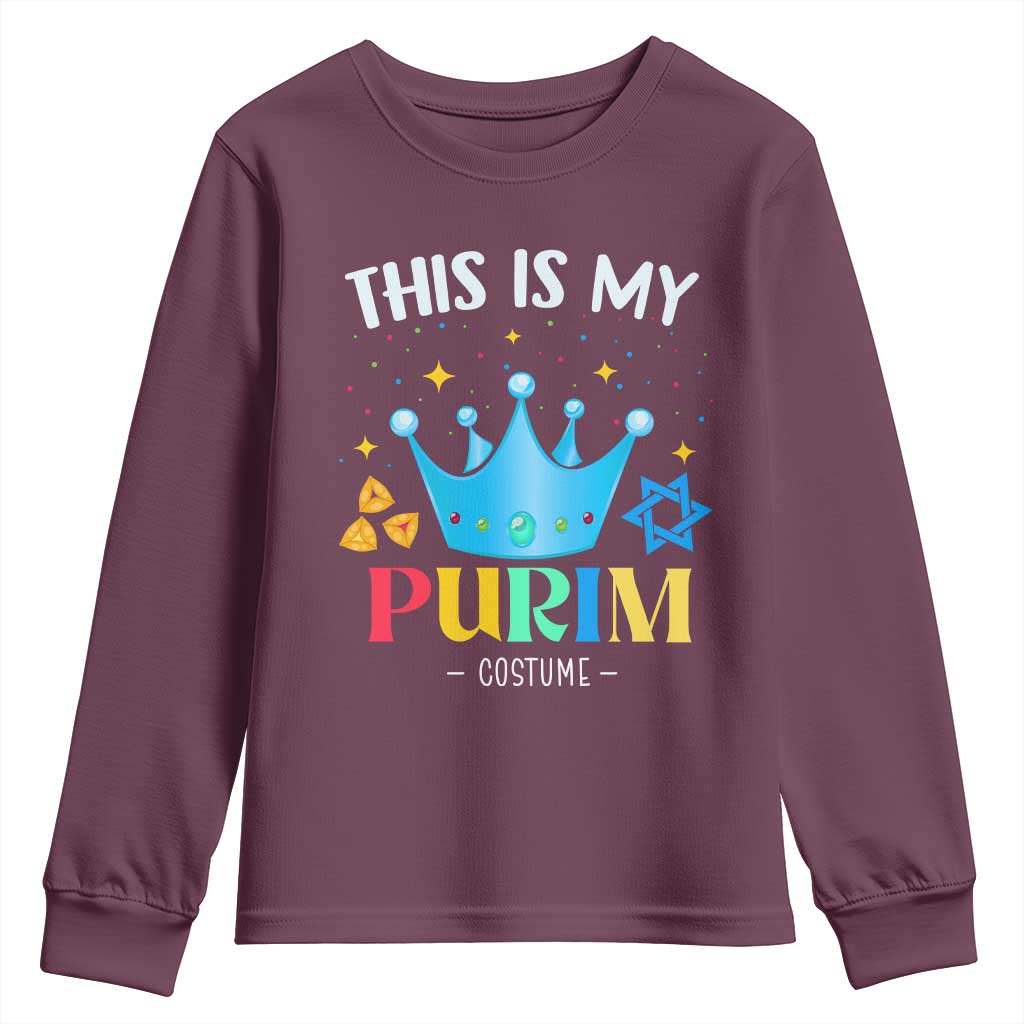 Funny Jewish This Is My Purim Costume Youth Sweatshirt