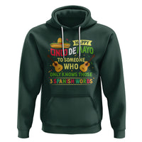 Happy Cinco De Mayo To Someone Who Only Knows Those 3 Spanish Words Funny Hoodie - Wonder Print Shop