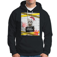 Christmas Hoodie Dear Santa I Can Explain Funny Raccoon Lover - Wonder Print Shop
