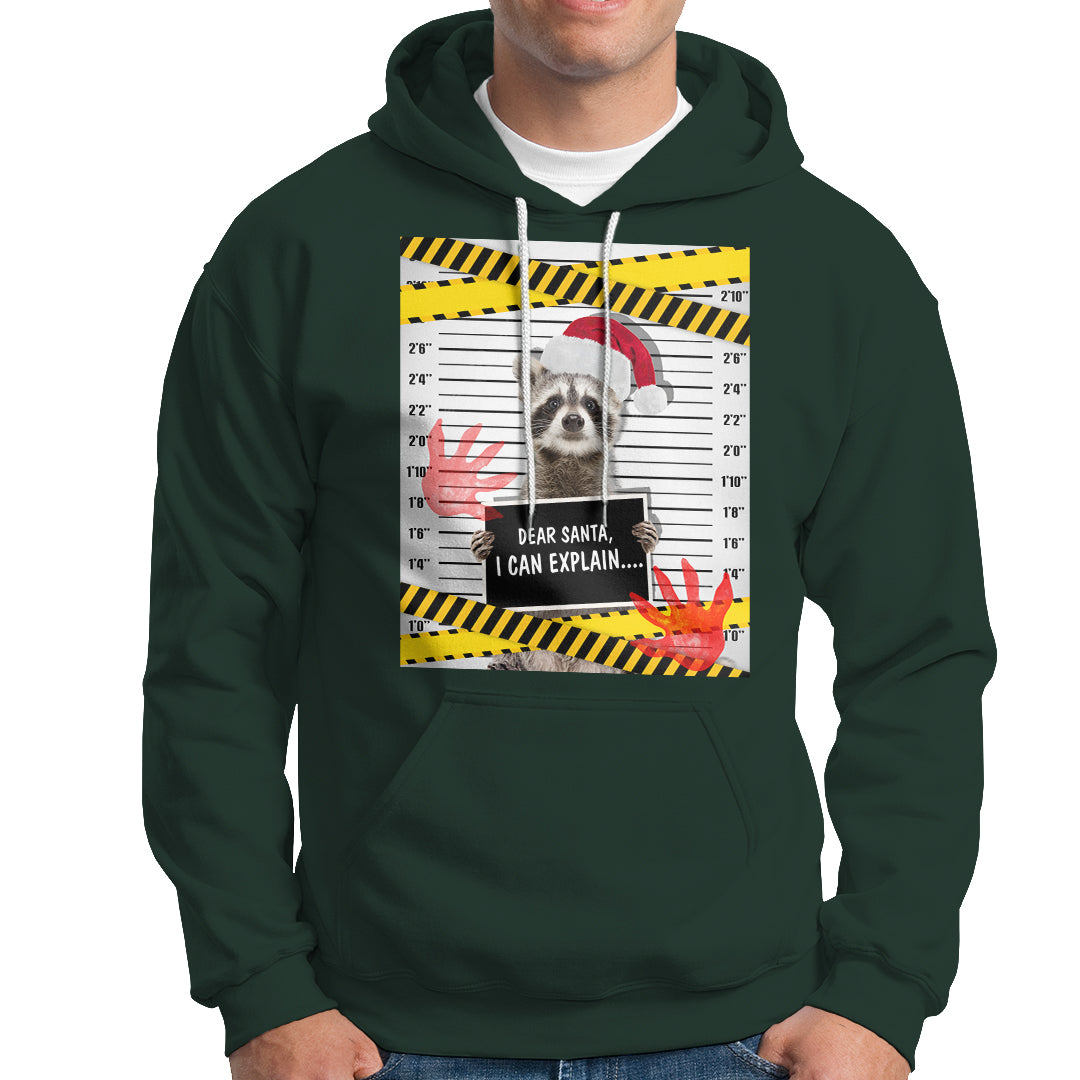 Christmas Hoodie Dear Santa I Can Explain Funny Raccoon Lover - Wonder Print Shop
