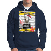 Christmas Hoodie Dear Santa I Can Explain Funny Raccoon Lover - Wonder Print Shop