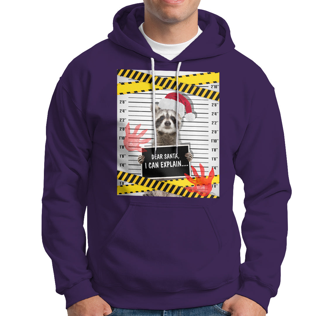 Christmas Hoodie Dear Santa I Can Explain Funny Raccoon Lover - Wonder Print Shop